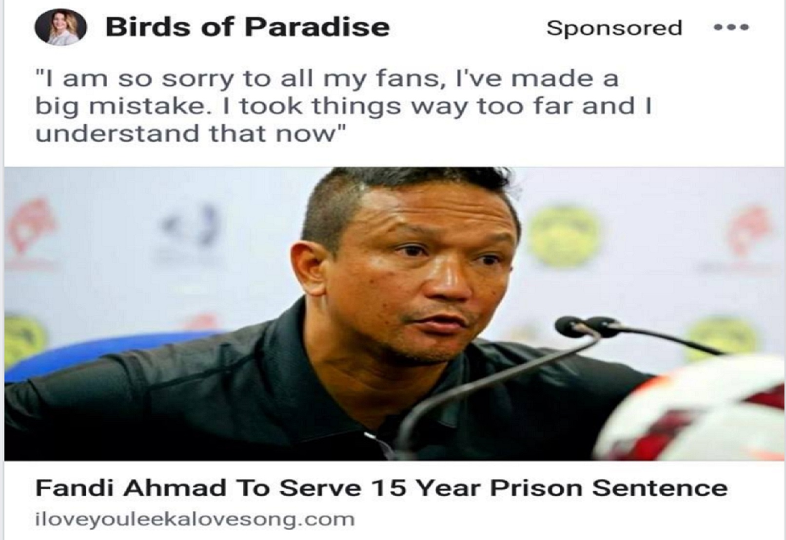 fake news, online falsehoods, Fandi Ahmad