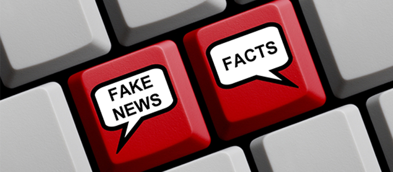 28 local groups express concern over draft fake news law