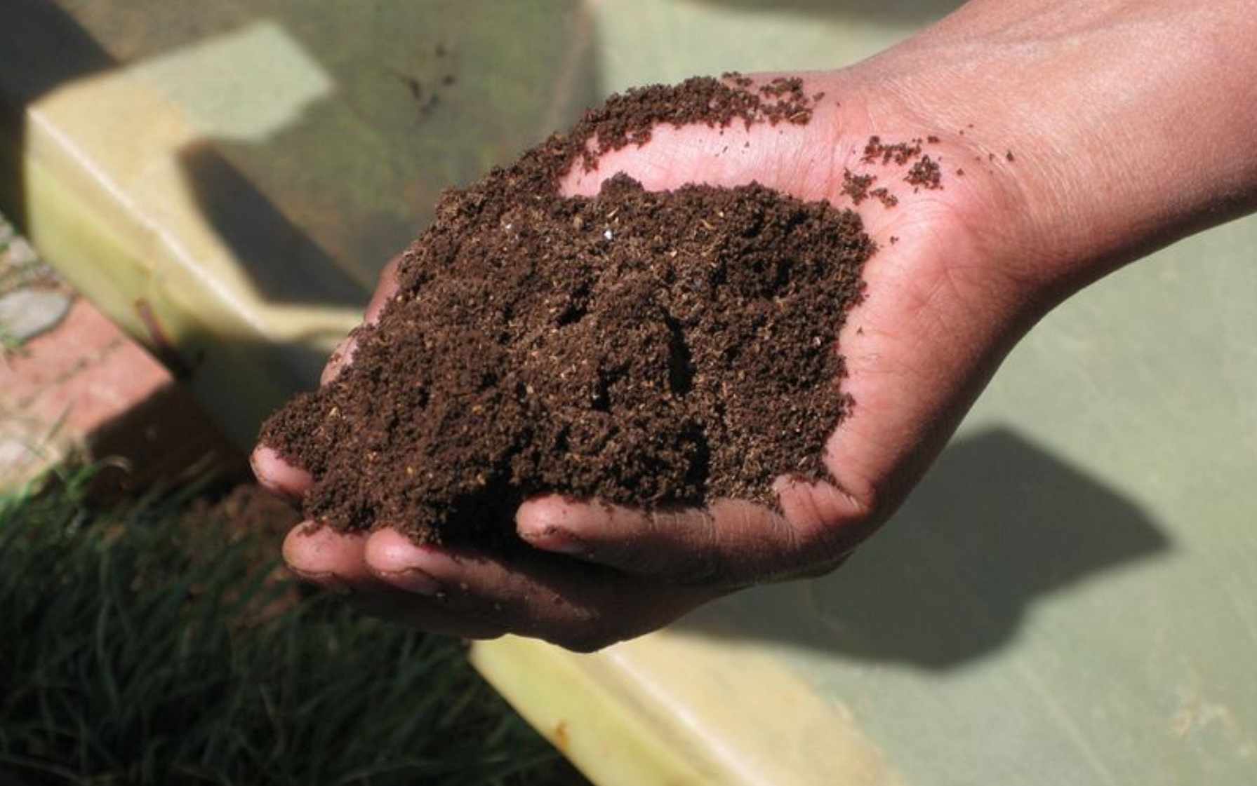 faeces, human excrement, jilted,