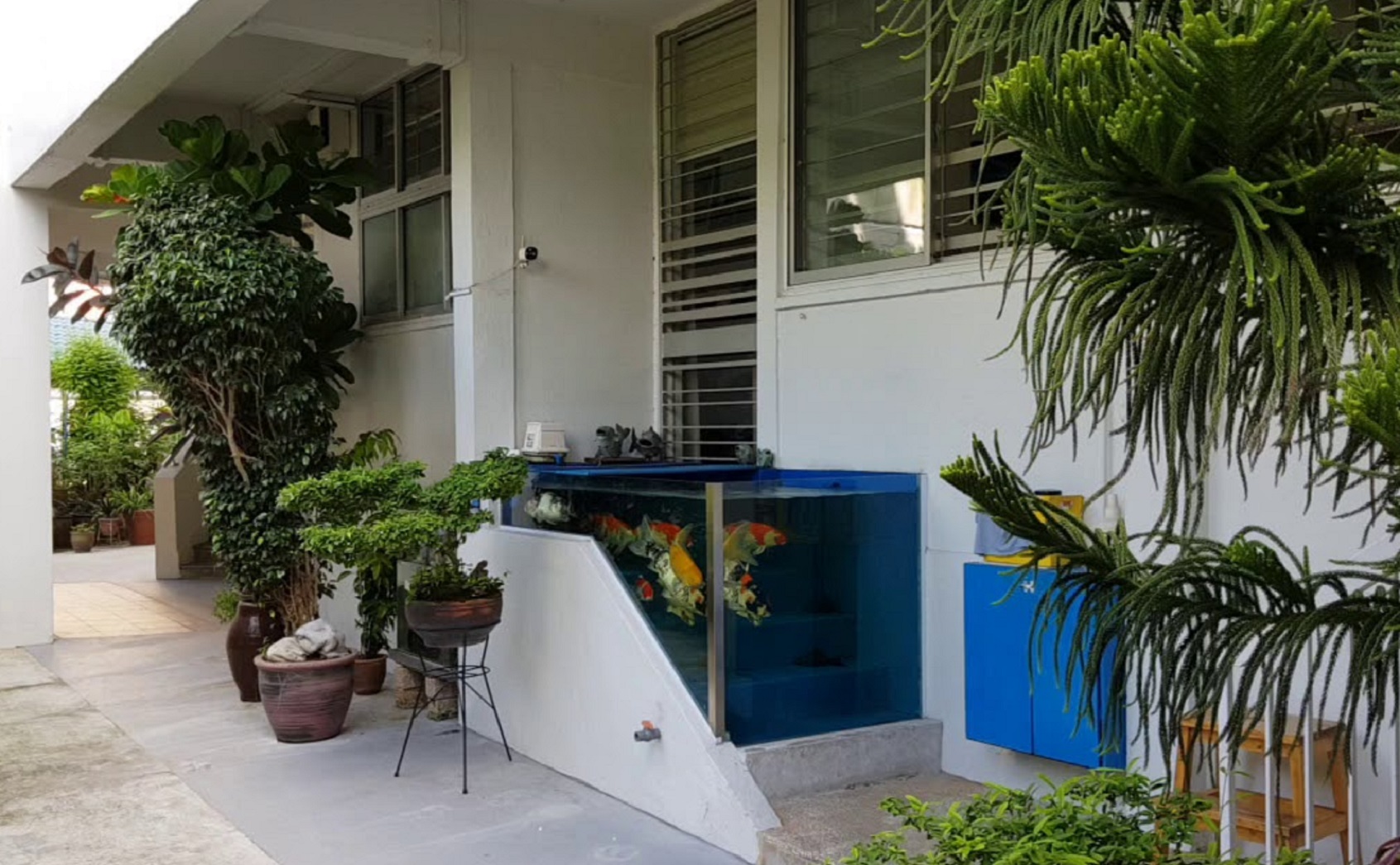 Singapore, town council, HDB, koi tank, Tampines, Baey Yam Keng