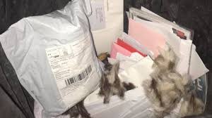 Postman who threw away AMK mail is a special needs person