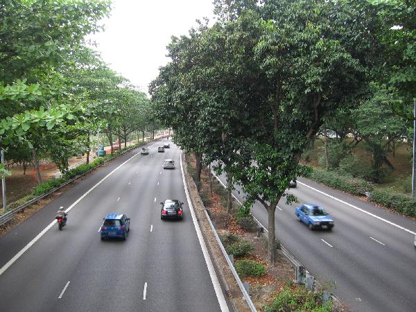 Woman jumps out of moving car after arguing with hubby