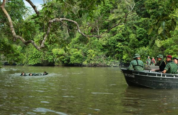 SAF regular dies in Brunei after being hit by falling tree branch