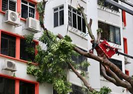 Tree falls on HDB block, shattering windows and air con compressors