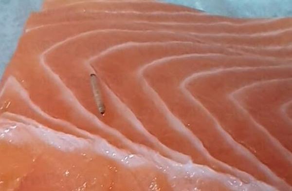 Worm found on salmon fillet from NTUC