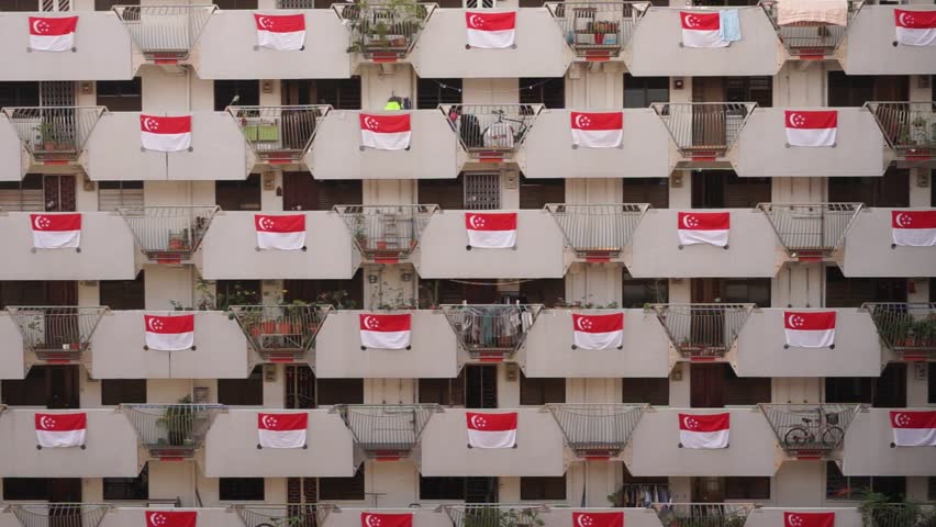 Singaporeans celebrate national day