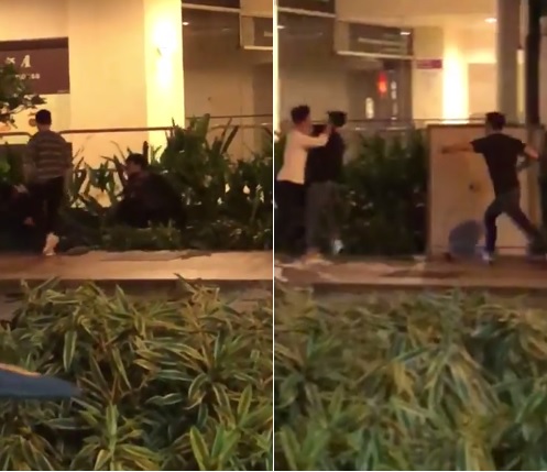 Viral Video Shows Young Men Fighting, Pushing Each Other into Bushes